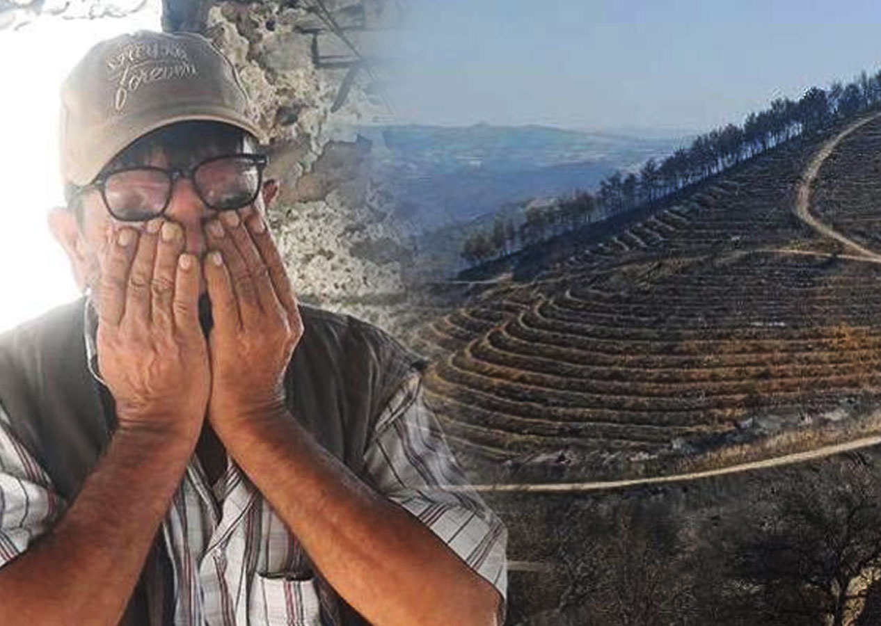Dehşet anlarını anlattı! Manisa'da çıkan yangından etkilendi: Canımızı zor kurtardık