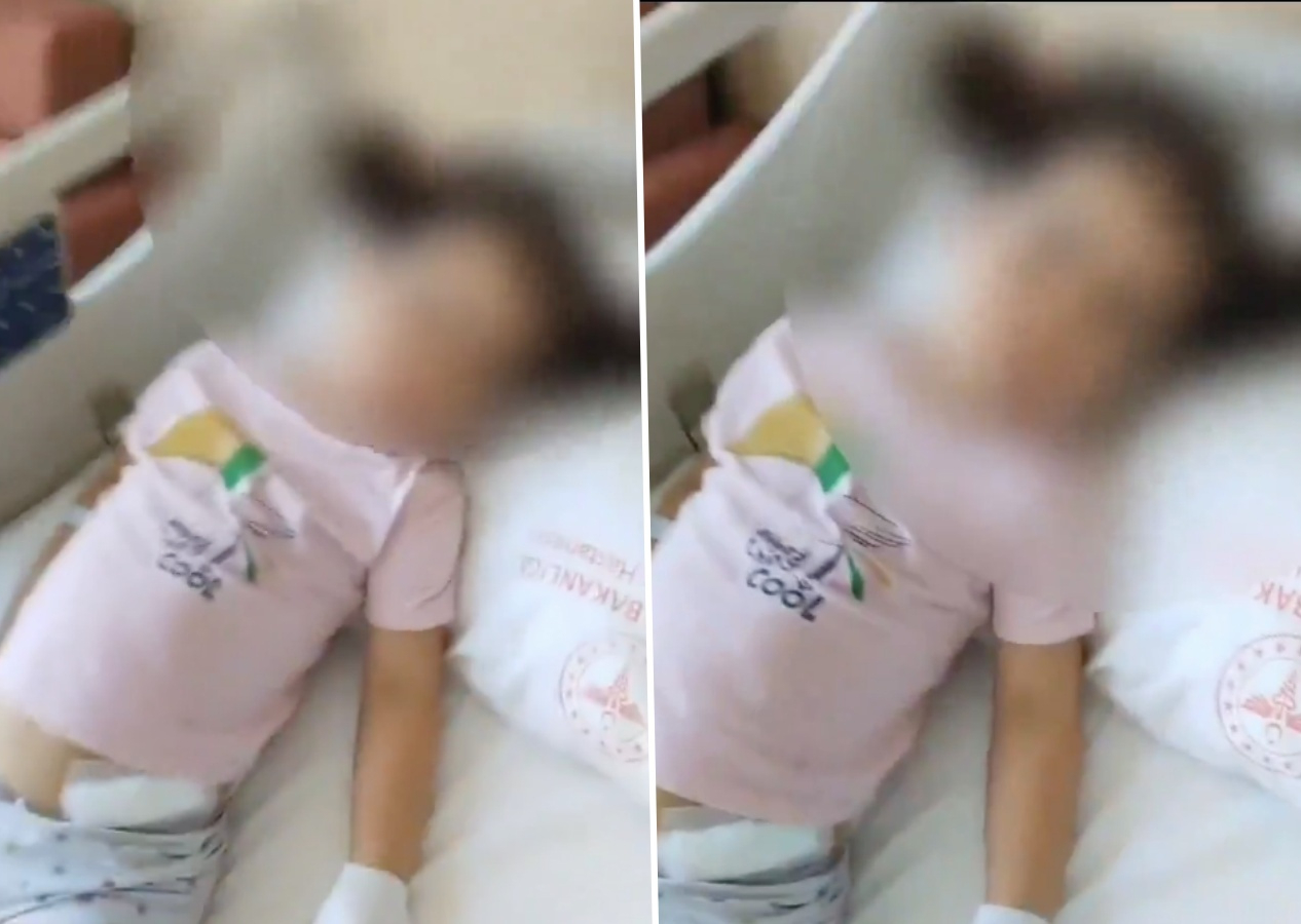 Ankara Gölbaşı'nda sokak köpekleri 5 yaşındaki kız çocuğuna saldırdı! "Hepsi toplatılsın" çağrısı...