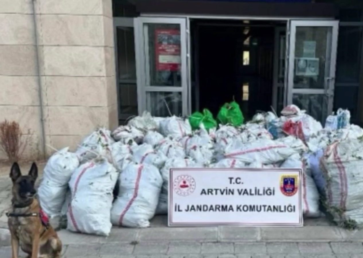 Artvin'de zehir tacirlerine operasyon! 502 kg uyuşturucu madde ele geçirildi! 2 şüpheli yakalandı