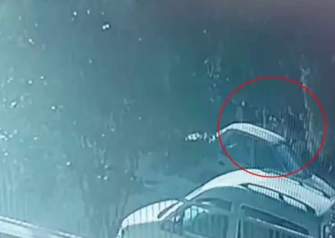 Muğla'daki korkunç olayda yeni detaylar! İnternetten çakı ve bıçak aramış! Cinayet anı kamerada