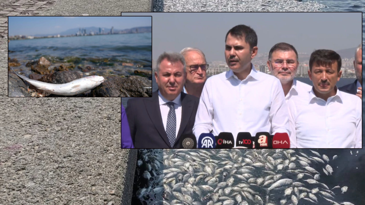 Bakan Kurum: İzmir Körfezimiz ölmektedir, durum tam anlamıyla çevre felaketi