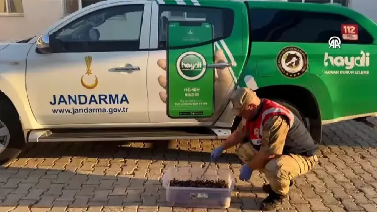 Şanlıurfa’da yakalandı! Canlı yakalananlarla 387 bin lira ceza kesildi