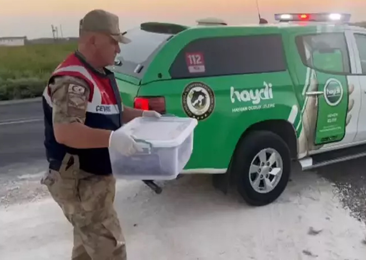 Şanlıurfa’da yakalandı! Canlı yakalananlarla 387 bin lira ceza kesildi
