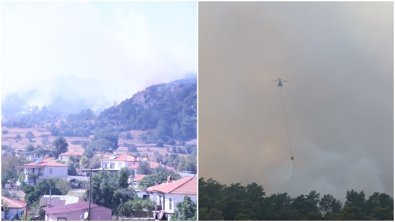 Muğla'da orman yangını!