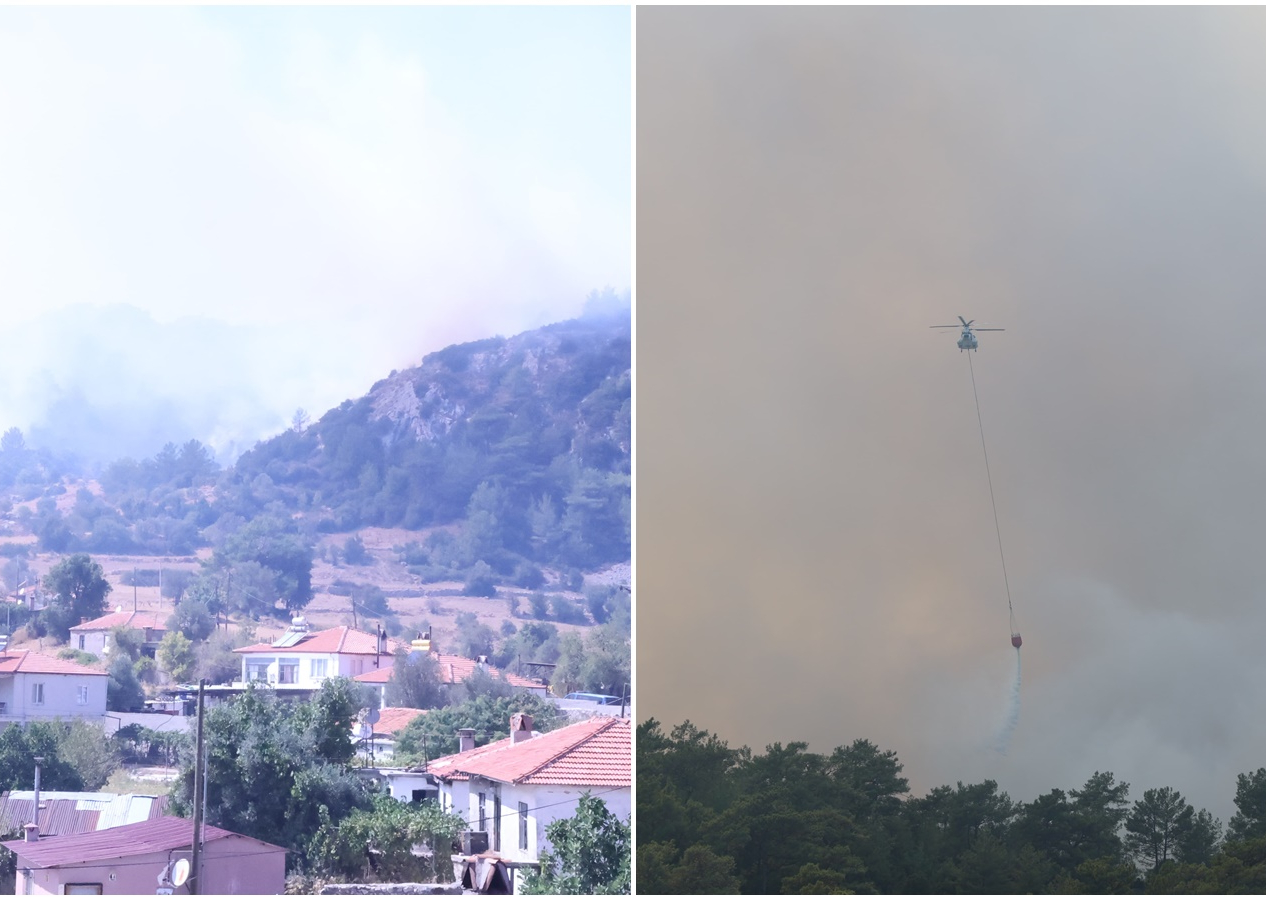 Muğla'da orman yangını!