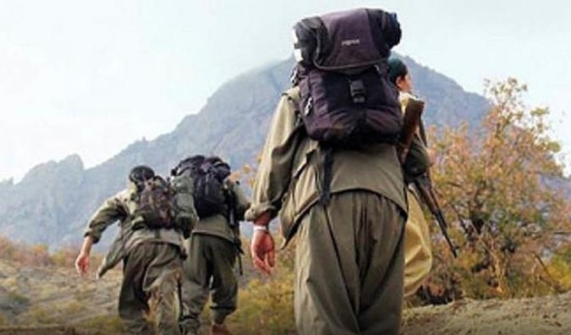 Tunceli'de 1 PKK'lı terörist öldürüldü...