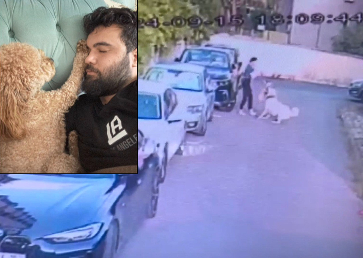 Tasmasız kangal minik köpeği sahibinin gözü önünde parçaladı, kadın kalp krizi geçirdi
