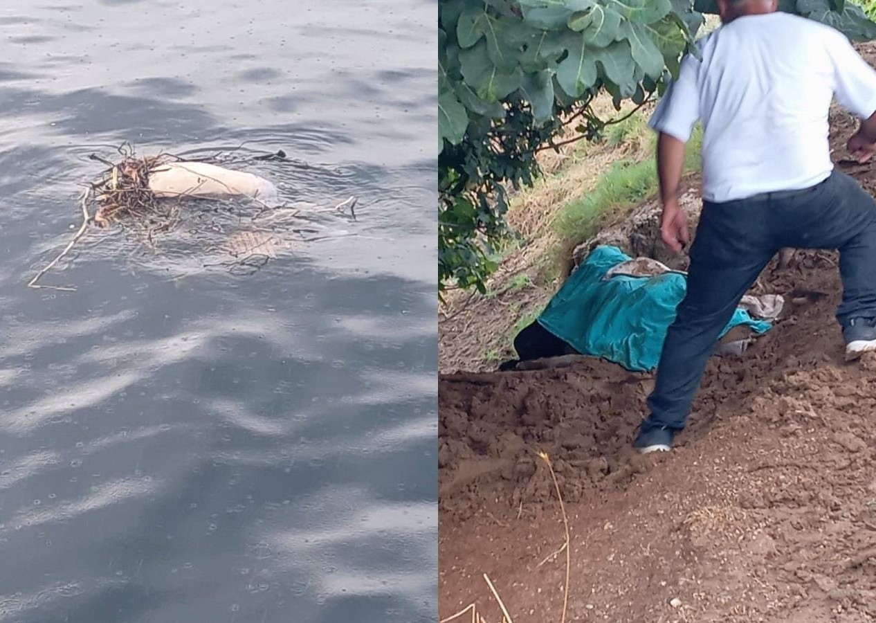 2 ilimizden acı haber: 31 ilde sağanak ve sel hayatı felç etti!