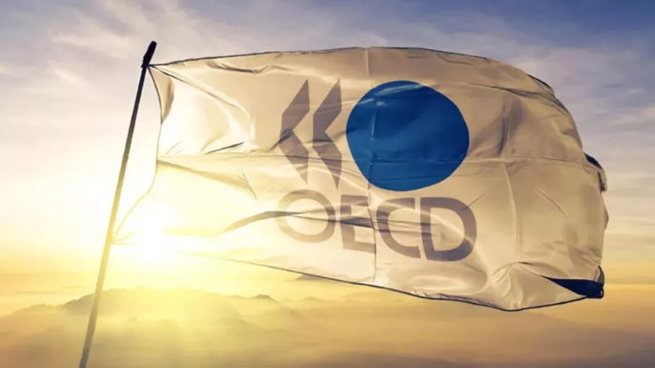 OECD Türkiye için faiz indirimi tavsiyesi