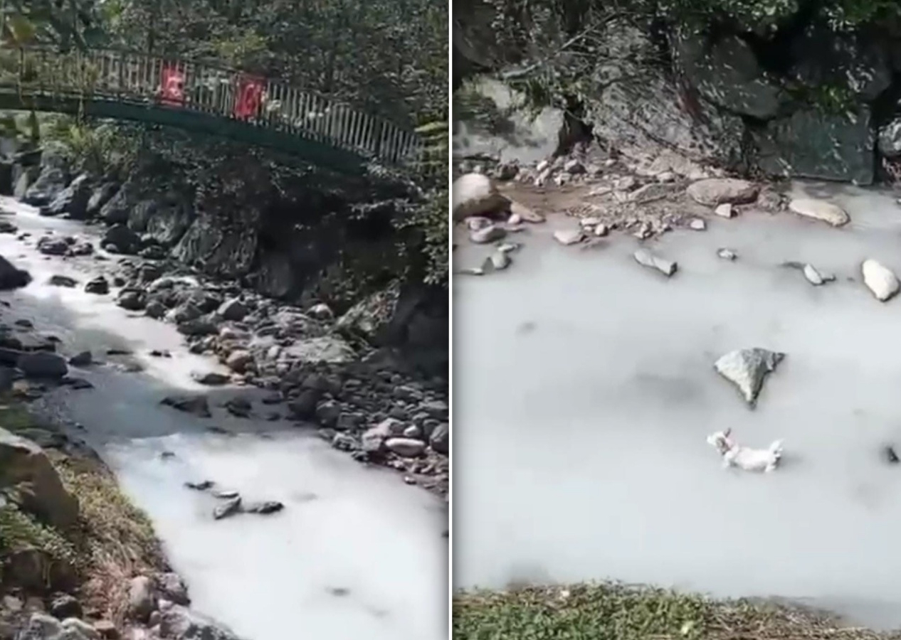 Rize'de dereye kilolarca kireç döktüler! Yarım milyon para cezası kesildi...