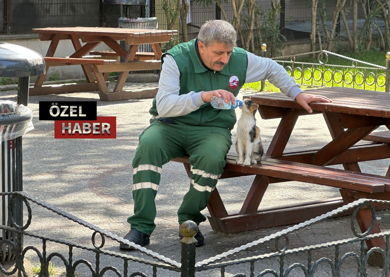 İşte hayvana saygı; sabırla su içirip kedinin susuzluğunu giderdi