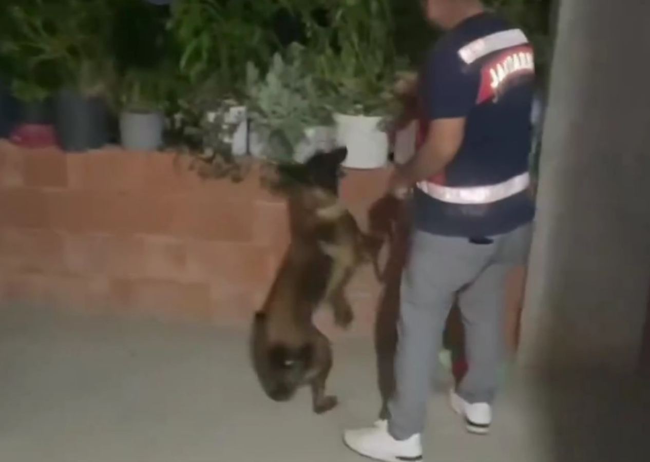 19 ilde zehir tacirlerine NARKOÇELİK-42 Operasyonu! 49 şüpheli yakalandı