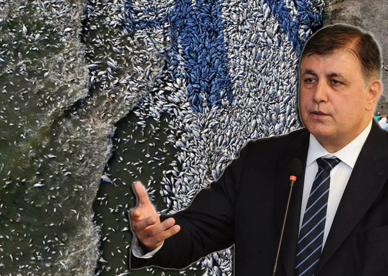 Zehir çukuruna dönen İzmir Körfezi için bakanlık harekete geçti! CHP'li Başkan Cemil Tugay 2 gündür imza bile atmadı...