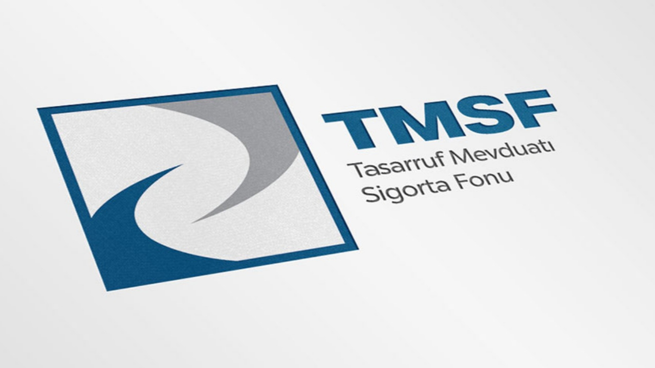 TMSF RHG Enertürk, Muradiye Elektrik ve Form Sünger şirketlerinin pay satışı için ihale açtı