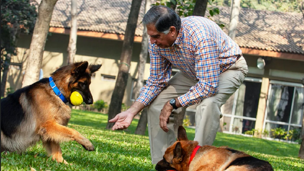 Rahmi Koç'un ortağı Ratan Tata, milyon dolarlık servetini köpeği Tito'ya bıraktı
