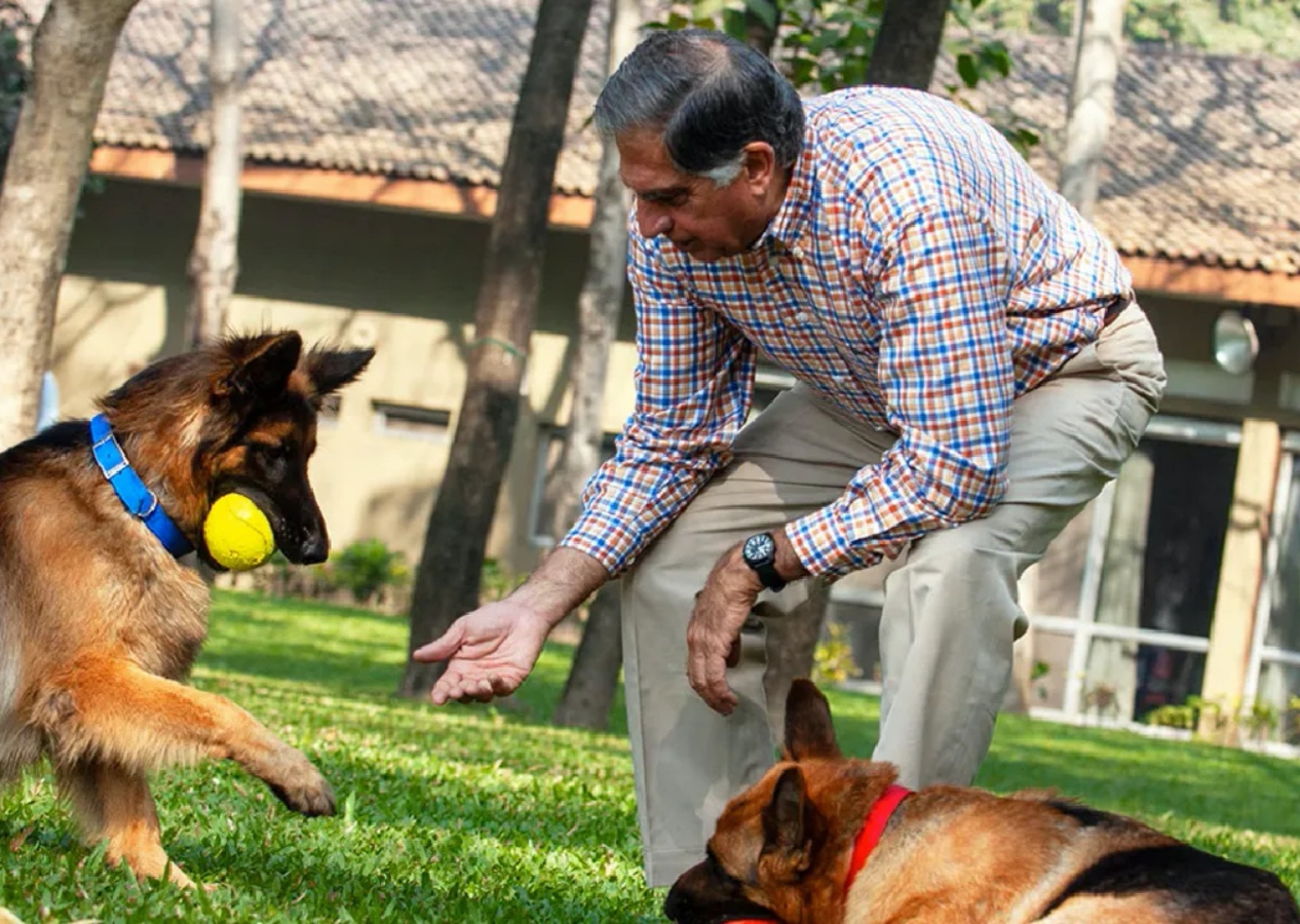 Rahmi Koç'un ortağı Ratan Tata, milyon dolarlık servetini köpeği Tito'ya bıraktı