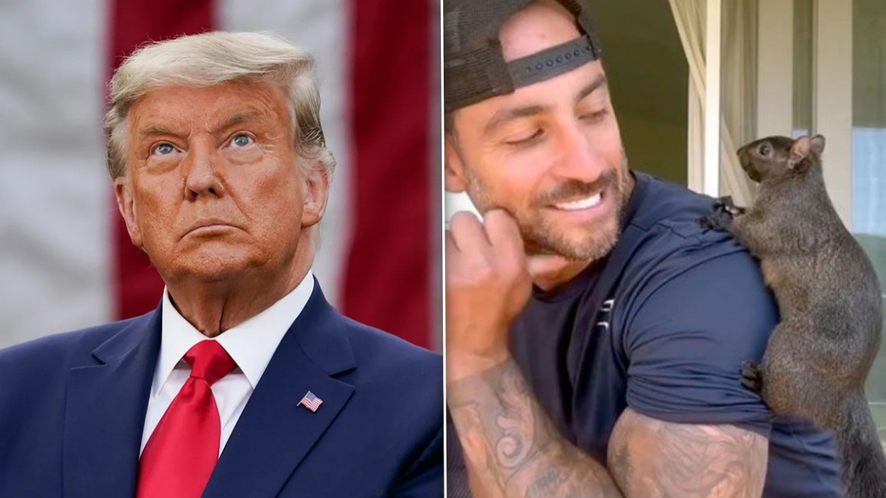 ABD'yi karıştıran ötanazi...Donald Trump seçimleri sincap farkıyla kazanabilir!