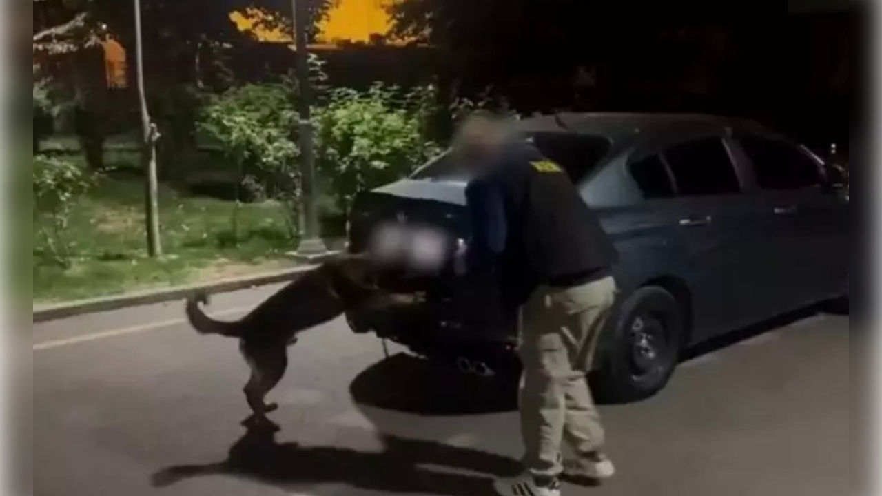 Batman'daki Büyük Uyuşturucu Operasyonunda Flaş Tutuklamalar