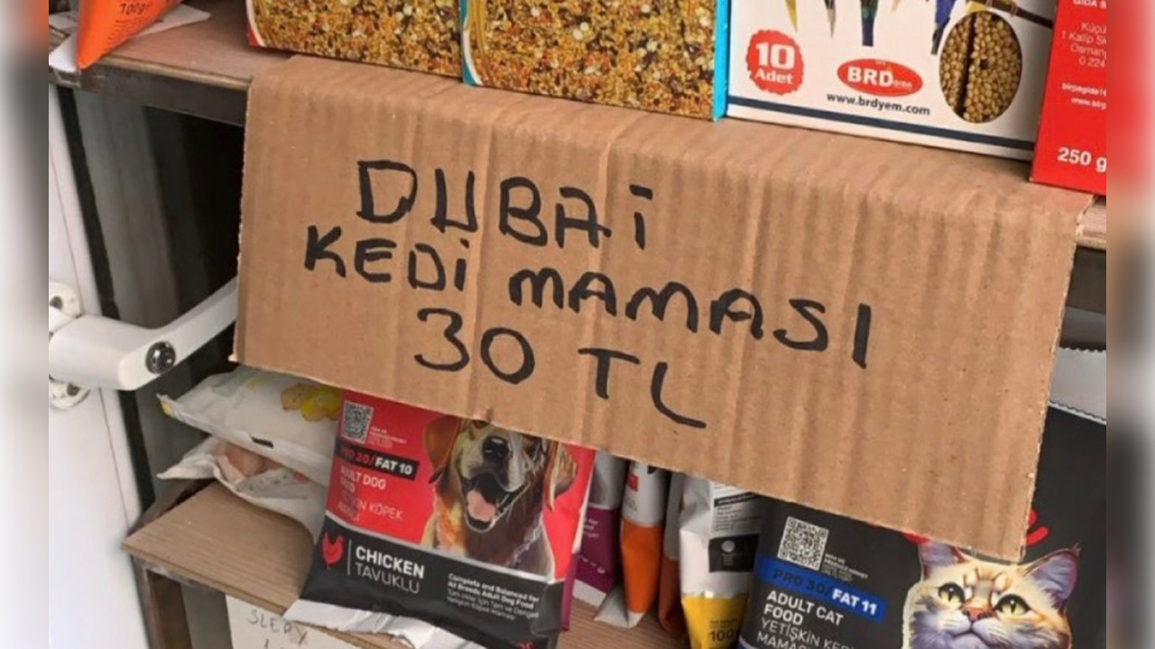 Dubai Çikolatası Derken Şimdi de Dubai Kedi Maması Çılgınlığı!