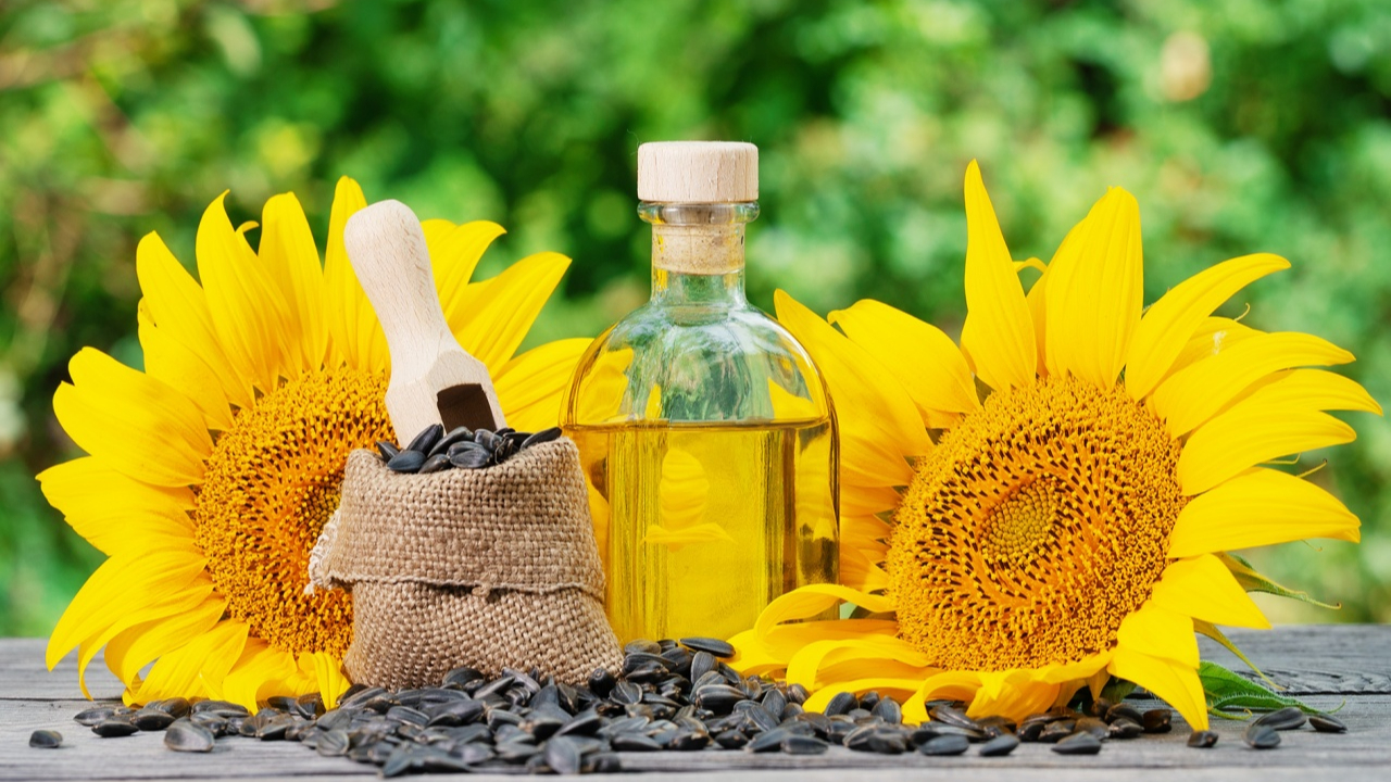 Ticaret Bakanlığı ayçiçeği yağında gümrük vergisini sıfırladı