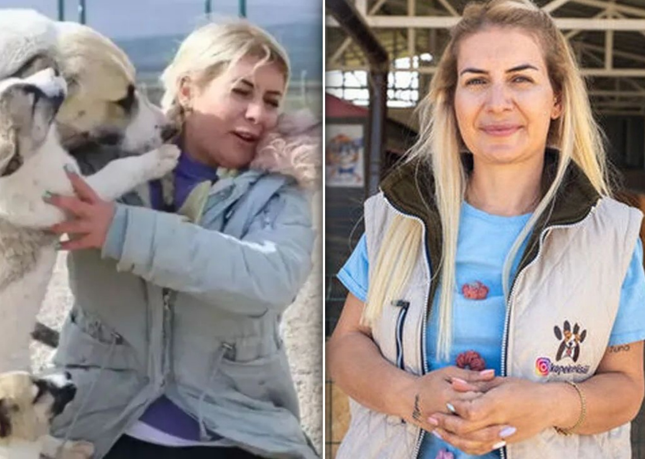 Köpek velisi Buket Özgünlü bağış paralarıyla bakın neler yapmış! Dikkat çeken oto alım satımları...