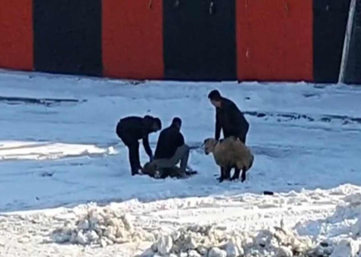 Maç sırasında kurban kesimi yapıldı: Görenler şok oldu!