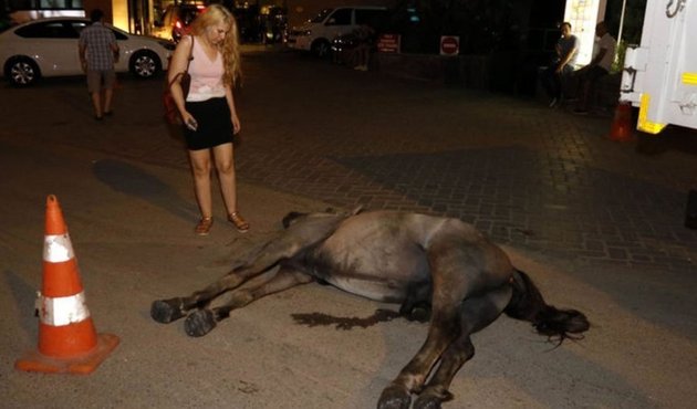 Görüntüler büyük tepki çekmişti! O atın sahibi intihar etti...