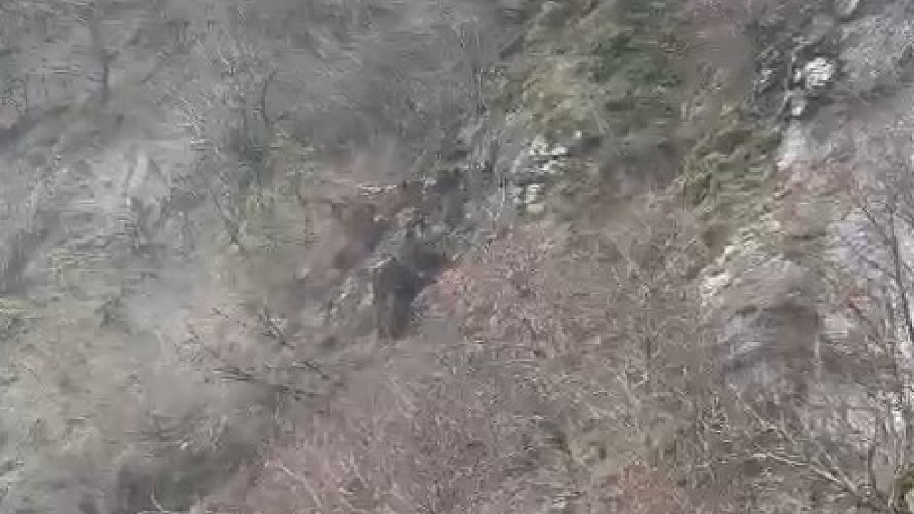Artvin’de korkunç anlar: Heyelan anı kameraya yansıdı...