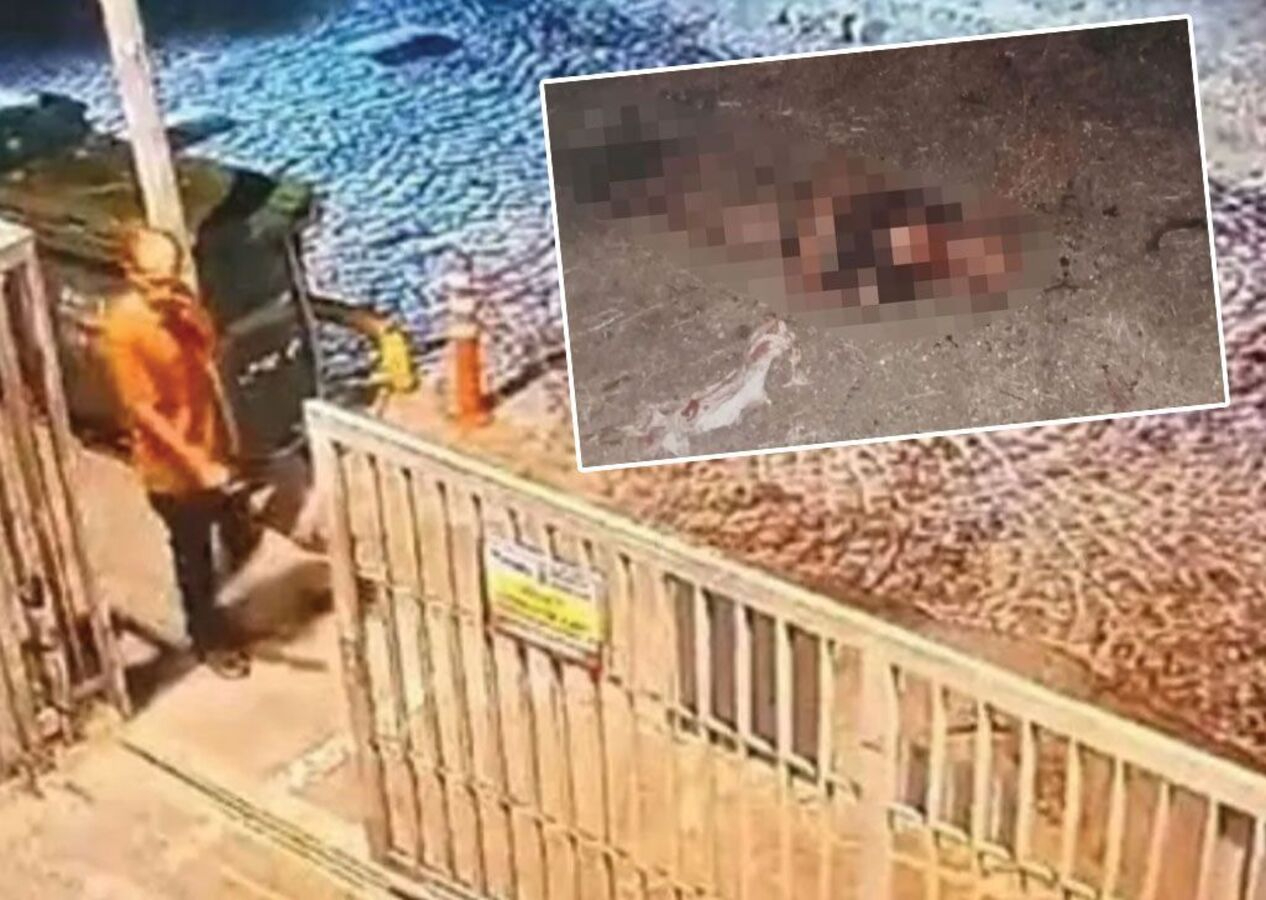 Başıboş köpekler parçalayarak katletmişti! Şoke eden otopsi raporu ortaya çıktı!