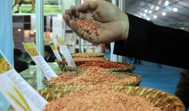 Türk tohumu için o il üs oluyor! Tohumculuğun "Silikon vadisi" olacak...