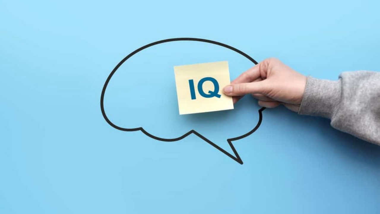 Bu IQ testini hazırlayanlara ve katılanlara geri zekalı diyebilirsiniz!