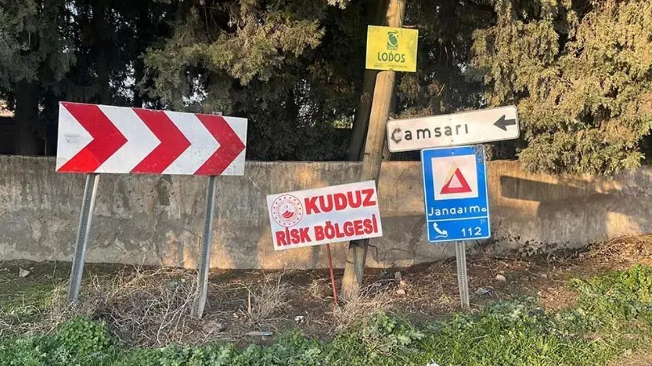 Hatay'da kuduz alarmı! Çamsarı mahallesi kapatıldı! İki kişi ısırıldı işte alınan önlemler!