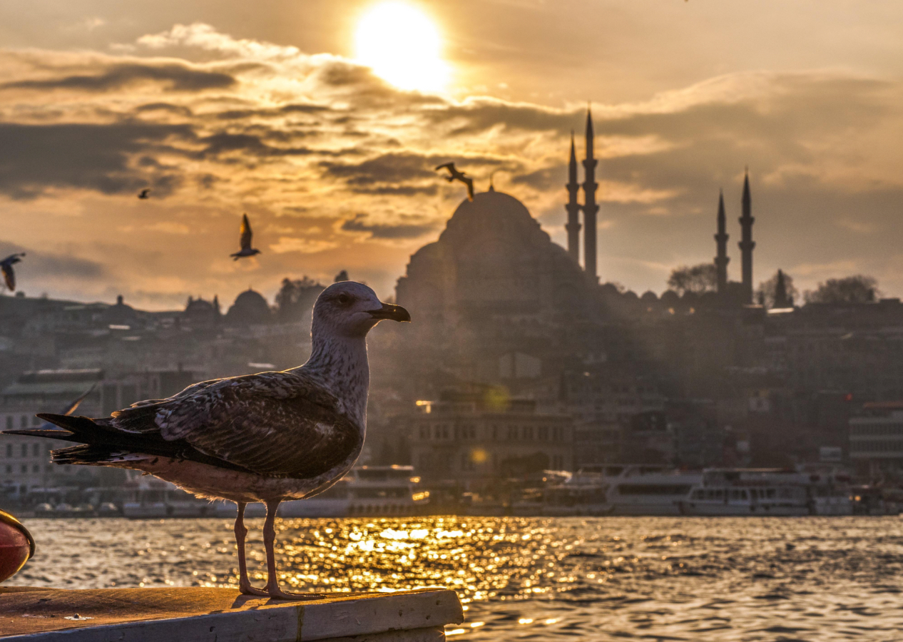 İlber Ortaylı'dan İstanbul gezi rotası! Tarih ve hikaye dolu bir yürüyüş...