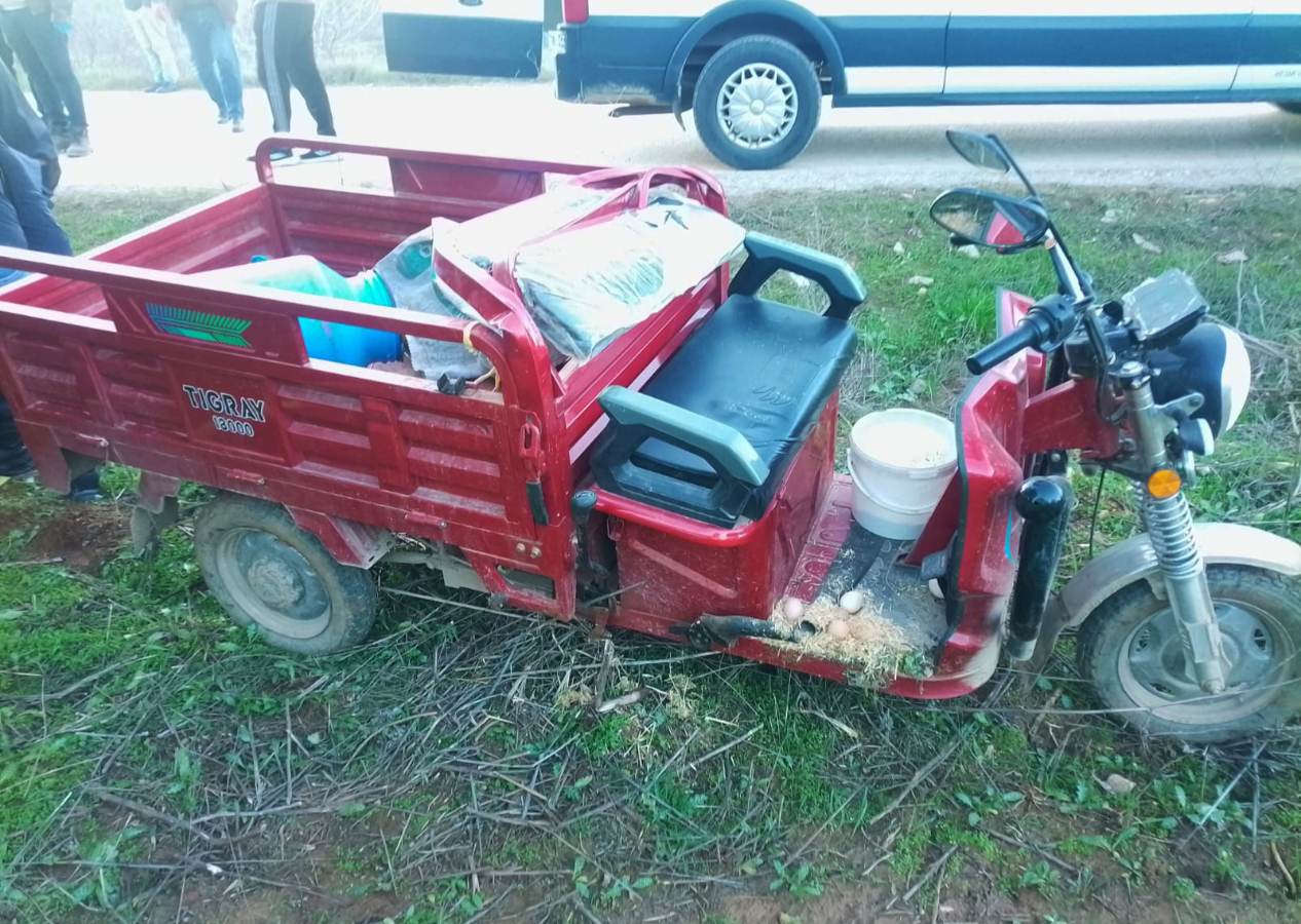 İzmir'de zeytin ağacına çarpan elektrikli motosikletteki 2 kız kardeş öldü