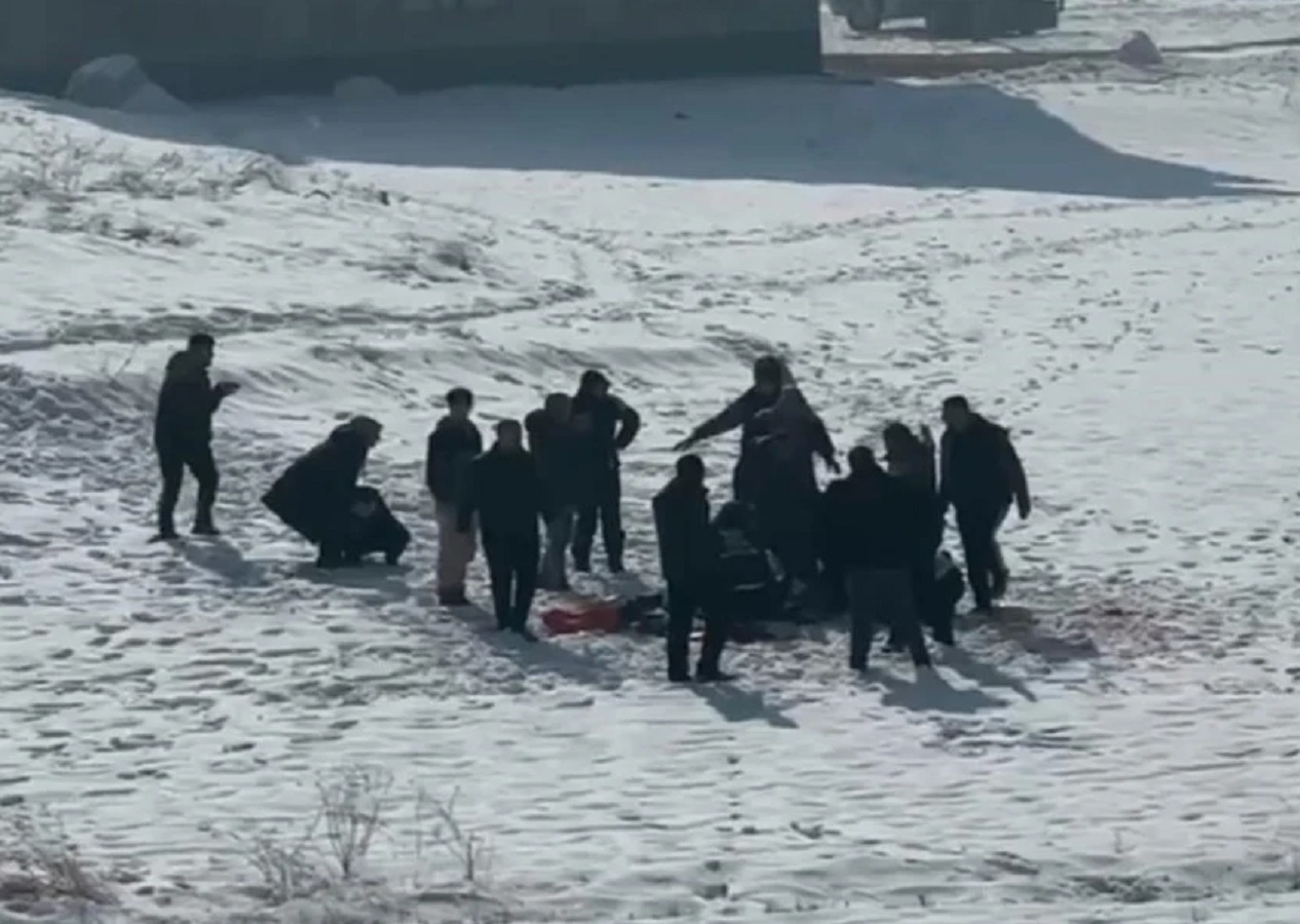 Bu kaçıncı vaka: Bu kez de Hakkari'de bir çocuk başıboş köpekler tarafından paramparça edildi!