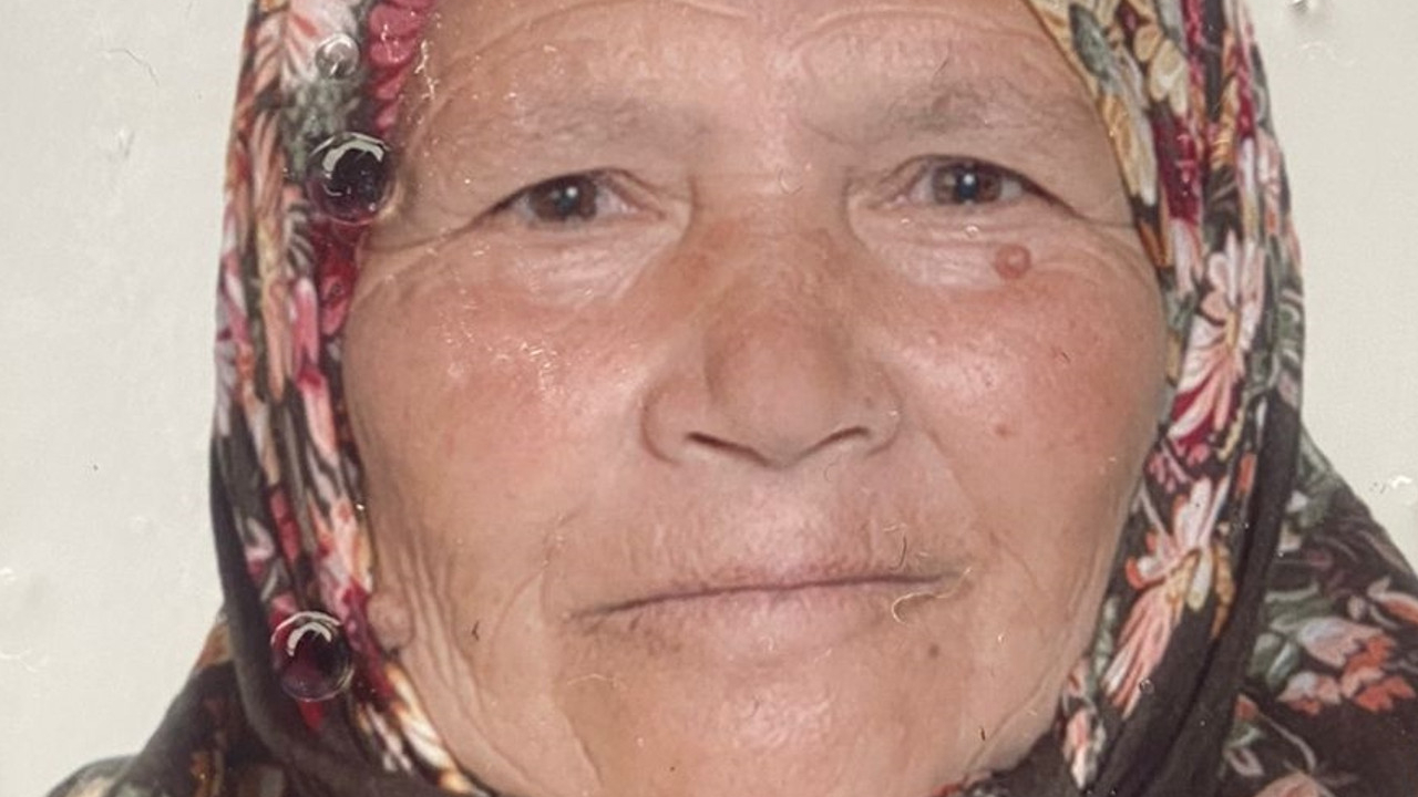 Bolu'da kaybolan kadının bulunması için arama çalışması yapılıyor