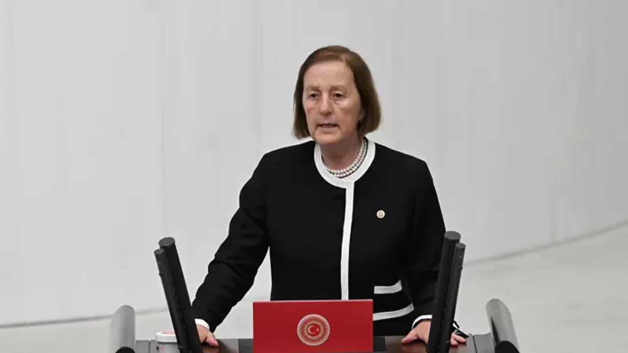 Selma Aliye Kavaf Hangi Partiye Geçti? Selma Aliye Kavaf Kimdir, Nereli?