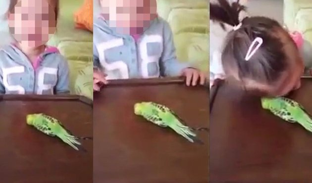 "Kuşu sen öldürdün" diyerek dakikalarca ağlattığı kızını kameraya kaydetti! / VİDEO