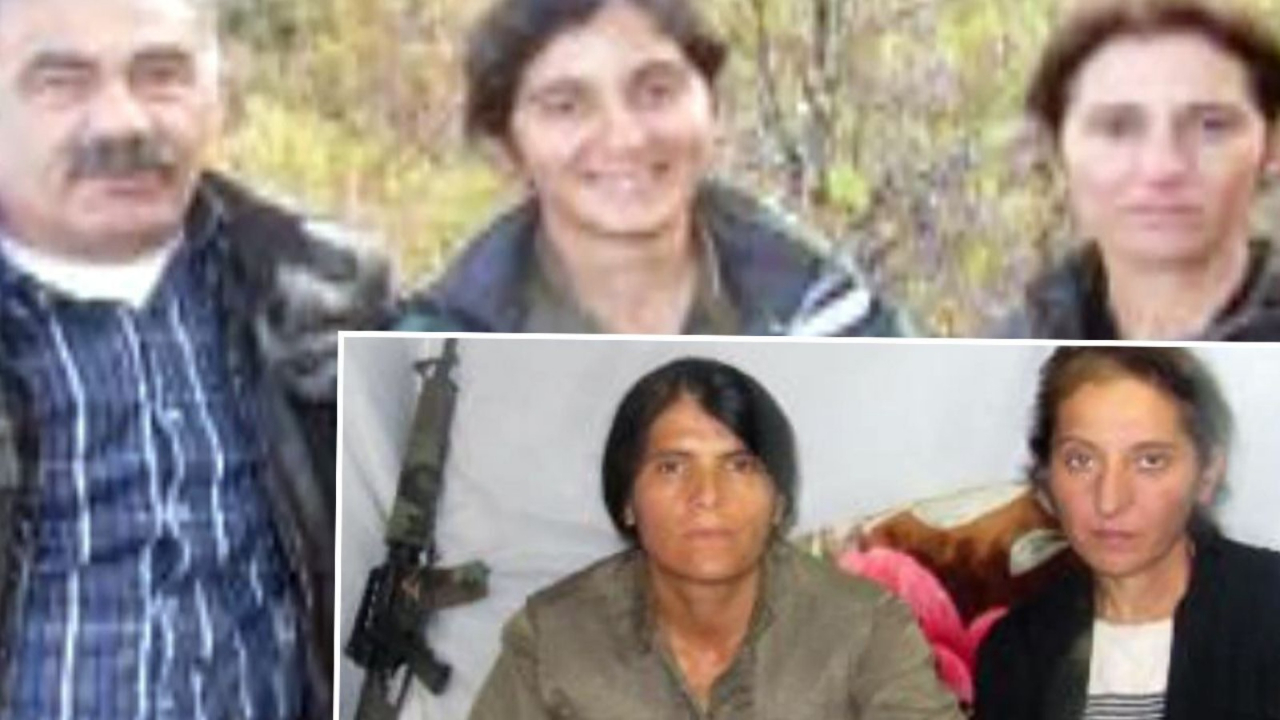 Gözaltına alınan CHP'li Meclis üyesi Elif Gül'ün kızı terörist çıktı! PKK kırsalında 'hatıra' fotoğrafı...
