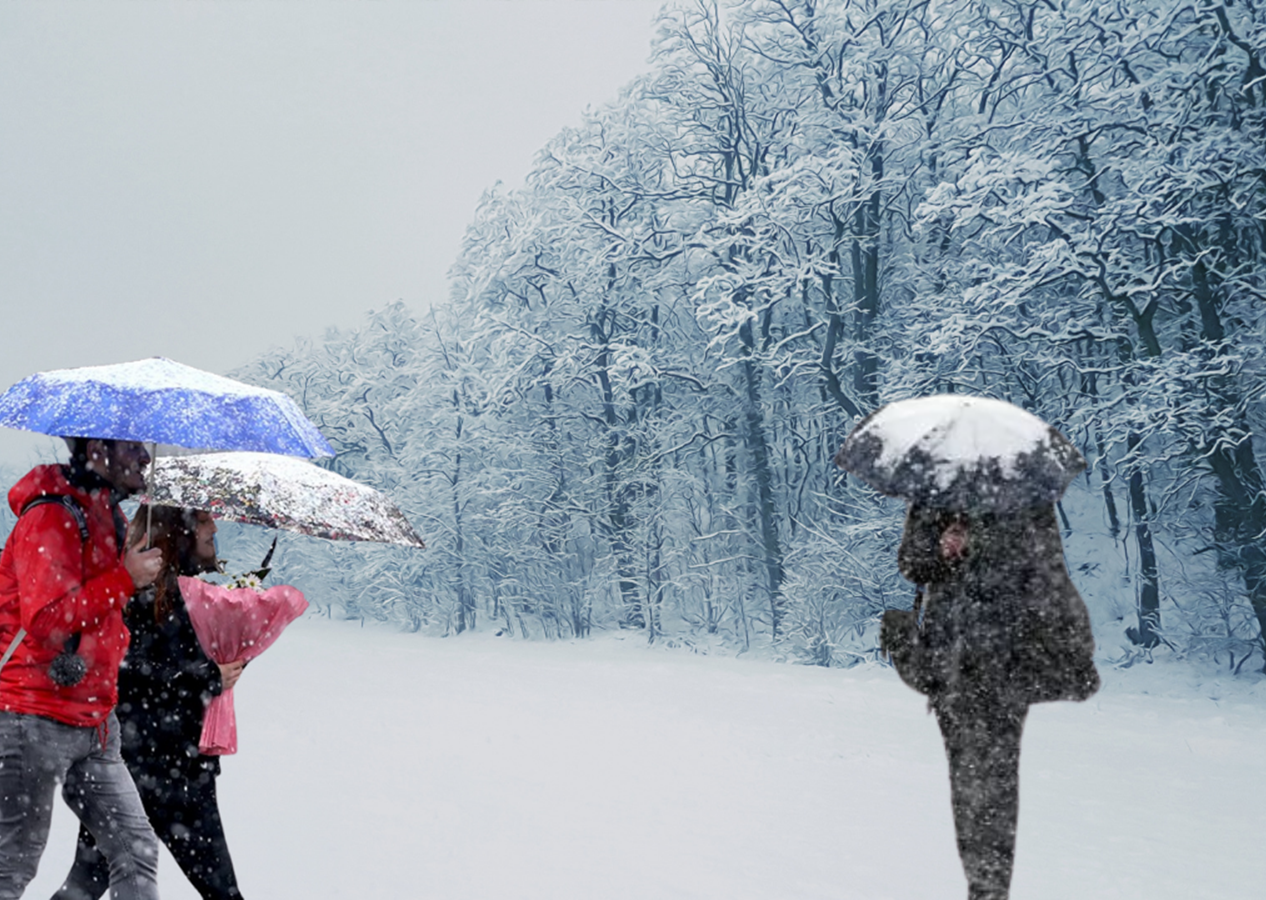 Meteoroloji uzmanından korkutan uyarı: Doğu Karadeniz son 20 yılın en kuvvetli kar yağışını alacak. 4 gün içerisinde tüm yollar kapanacak