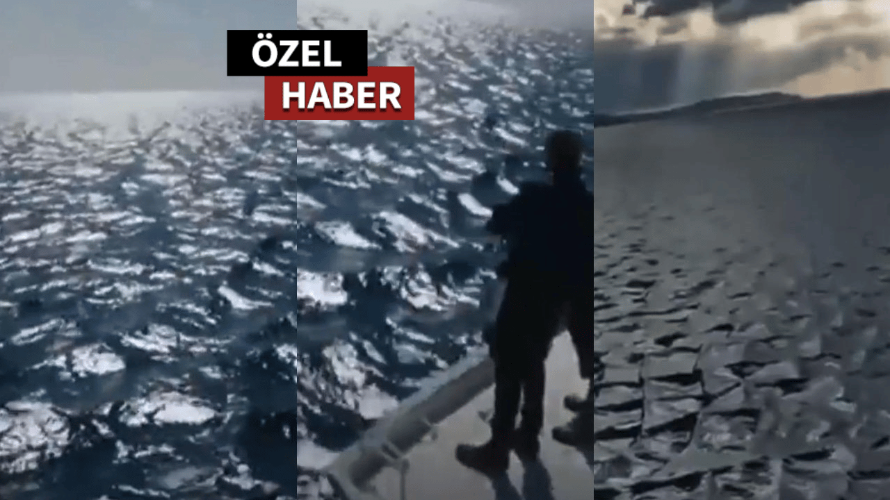 Ege Denizi’ndeki “Kare Dalga  Fenomeni” ne anlama geliyor?