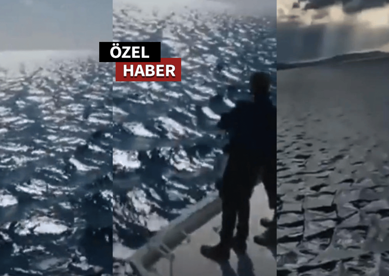 Ege Denizi’ndeki “Kare Dalga  Fenomeni” ne anlama geliyor?