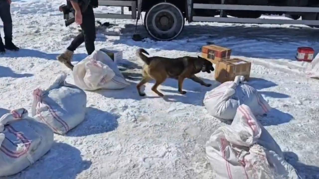 Hakkari'de kargo ile gönderilmek istenilen 102 kilo uyuşturucu ele geçirildi