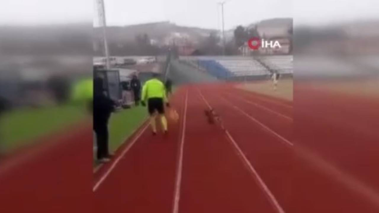 Amatör küme maçında sahaya giren sokak köpeğini yan hakem çıkardı