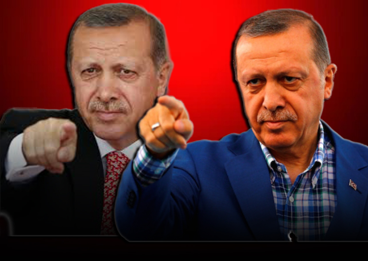 ERDOĞAN NE İSTİYOR?