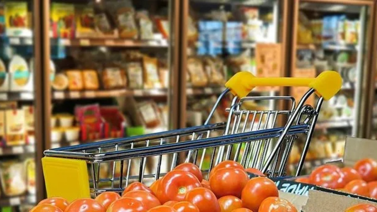 Ekonomi Güven Endeksi şubat ayında geriledi