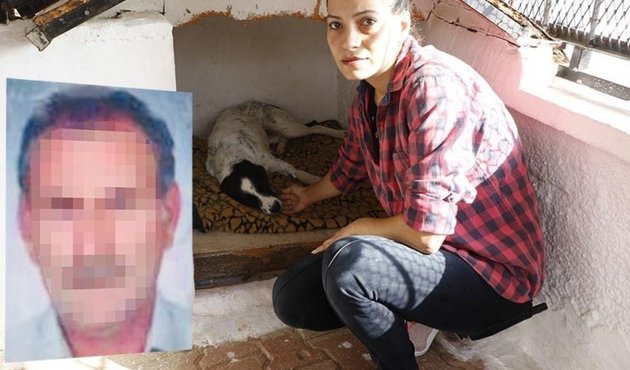 Çocuk parkında köpeğe tecavüz!