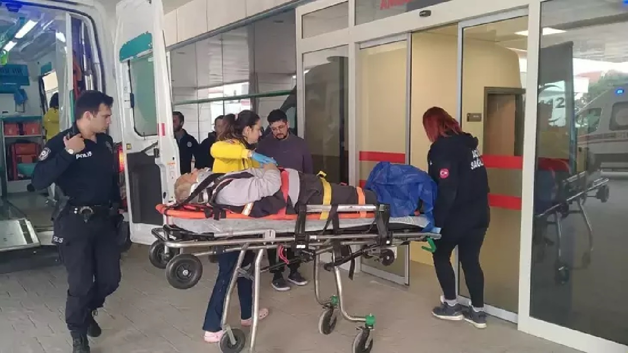 Kocaeli'de ağaç budarken 10 metre yüksekten düşüp yaralandı...