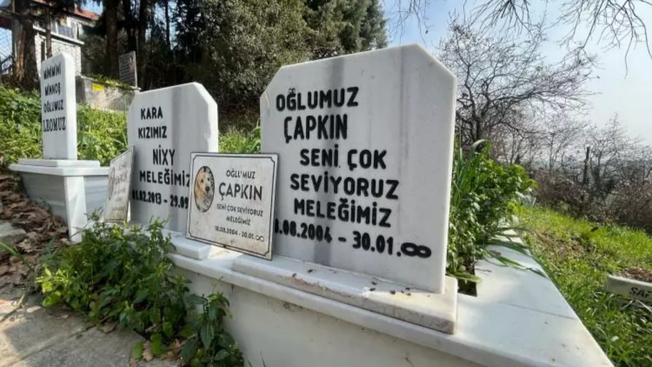 Bursa'da evcil hayvan mezarlığı fiyatları şaşkına çevirdi! 2 bin 500 liraya özel mezar yeri...
