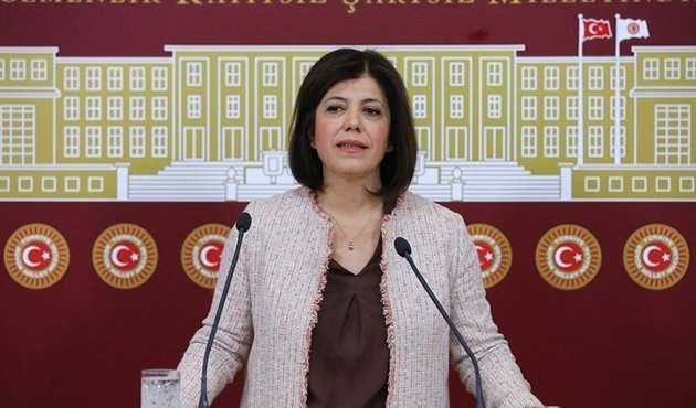 HDP'lilerden sürpriz olmayan tercih! Vize yasağına destek verdiler...